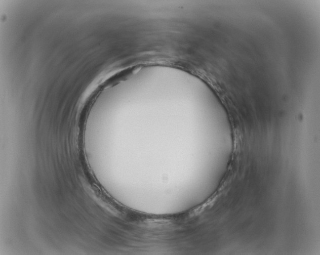 X0000086040150200704202019