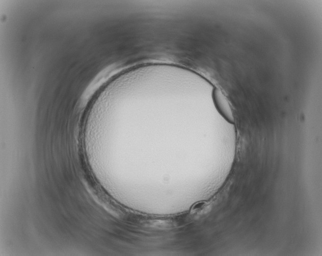 X0000086040151200704202019