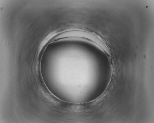 X0000086040152200704202020