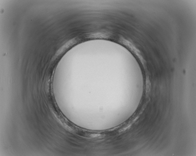 X0000086040153200704202020