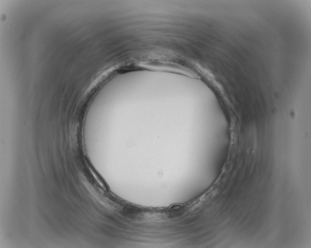 X0000086040154200704202020