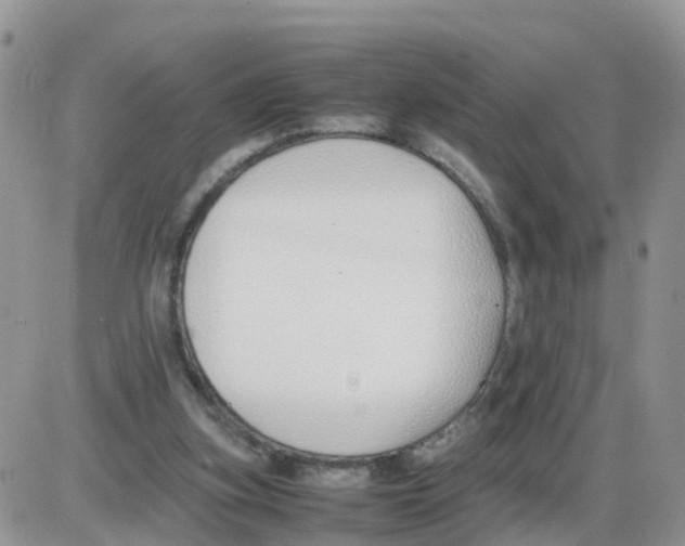 X0000086040155200704202020