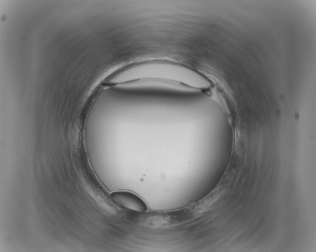 X0000086040156200704202020