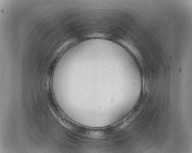 X0000086040157200704202020