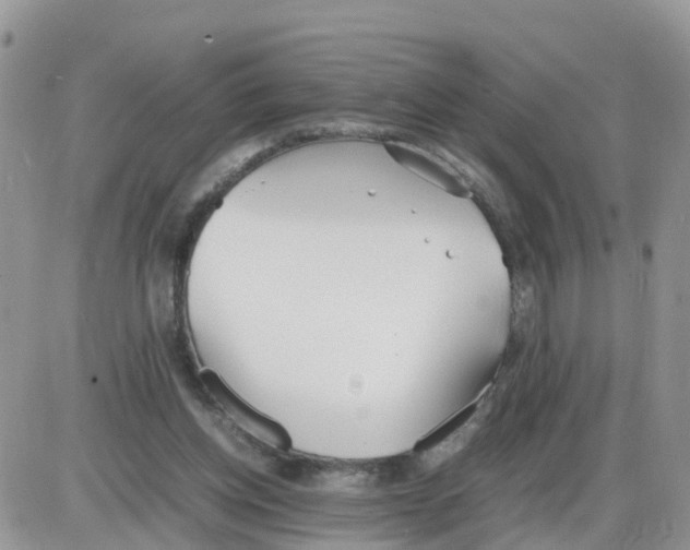 X0000086040158200704202020