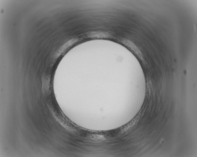 X0000086040159200704202020