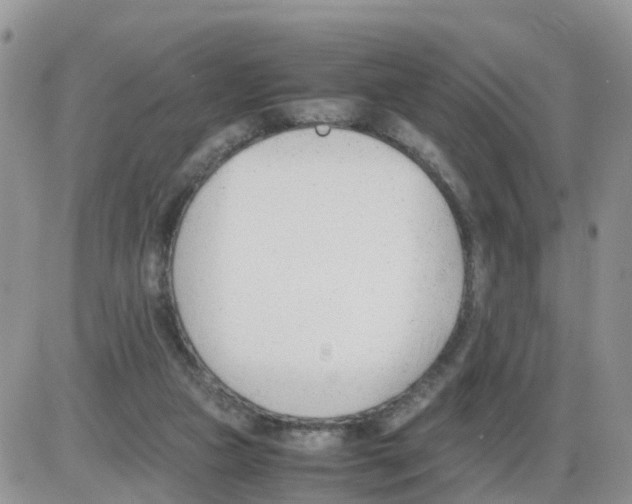 X0000086040161200704202020