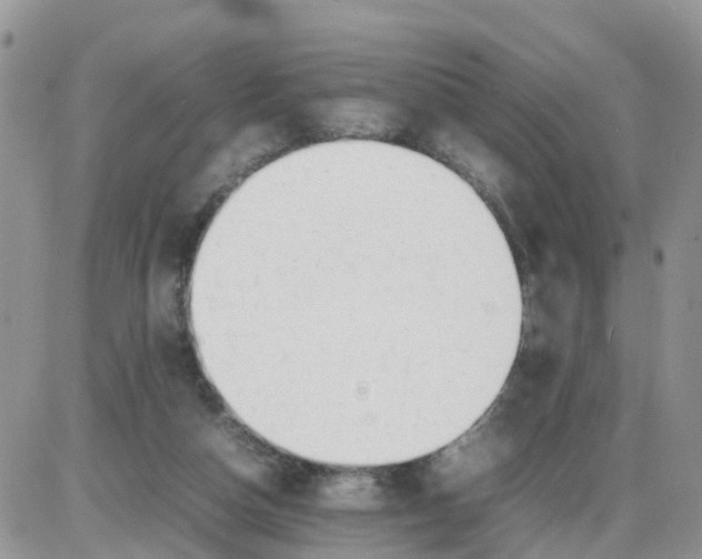 X0000086040162200704202020