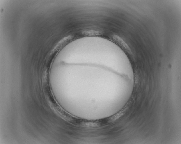 X0000086040163200704202020