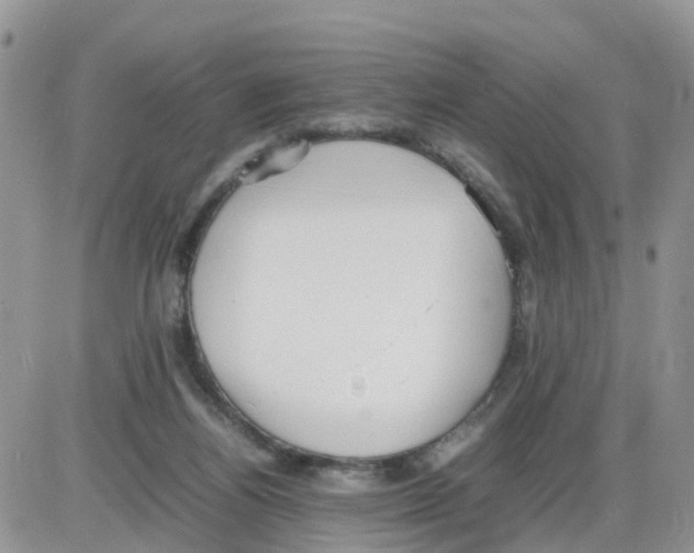 X0000086040164200704202020