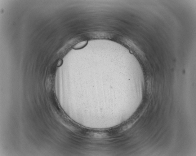 X0000086040165200704202020