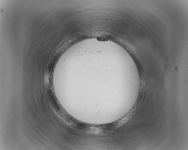 X0000086040166200704202020