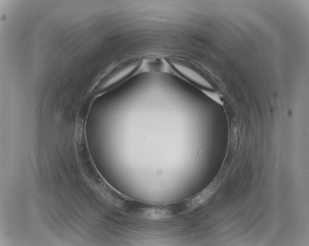 X0000086040168200704202020