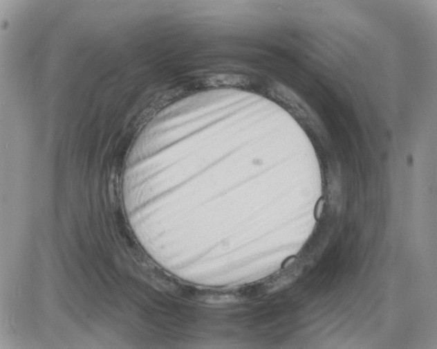 X0000086040169200704202020