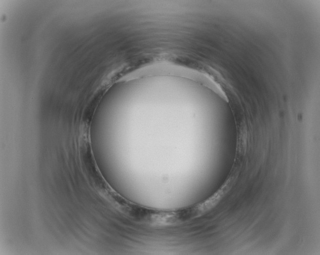 X0000086040172200704202020