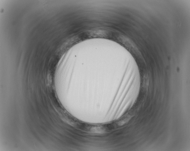 X0000086040173200704202020