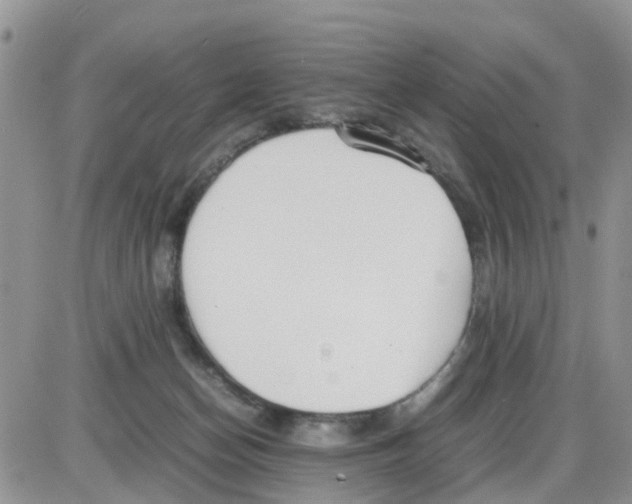 X0000086040174200704202020