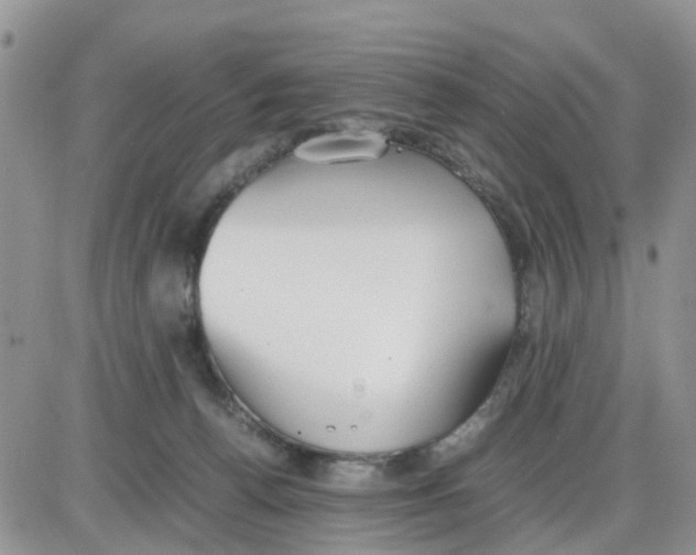 X0000086040176200704202020