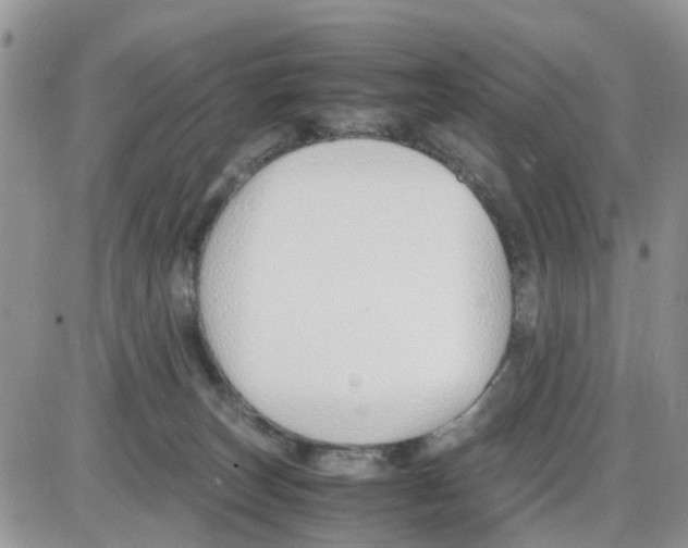 X0000086040179200704202020