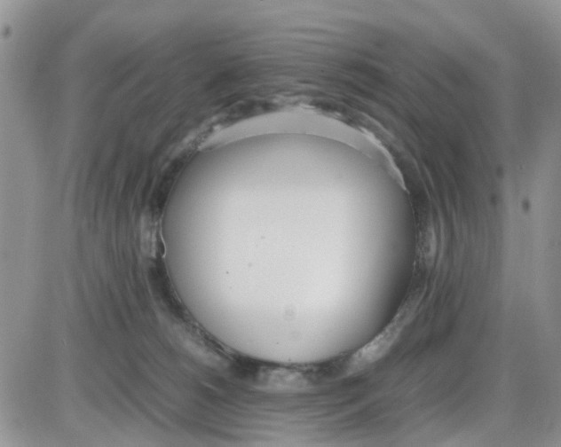 X0000086040180200704202020