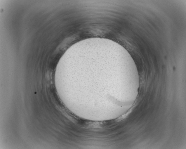 X0000086040182200704202020