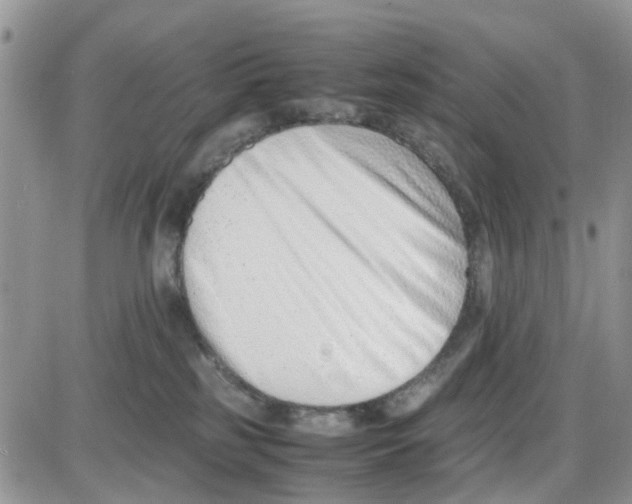 X0000086040185200704202020