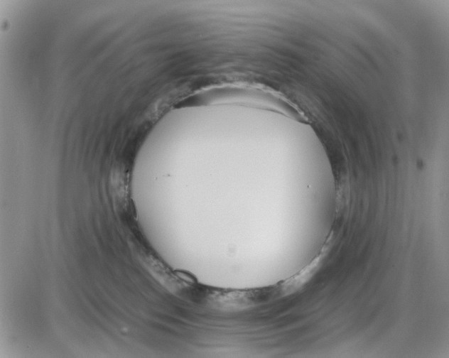 X0000086040186200704202020