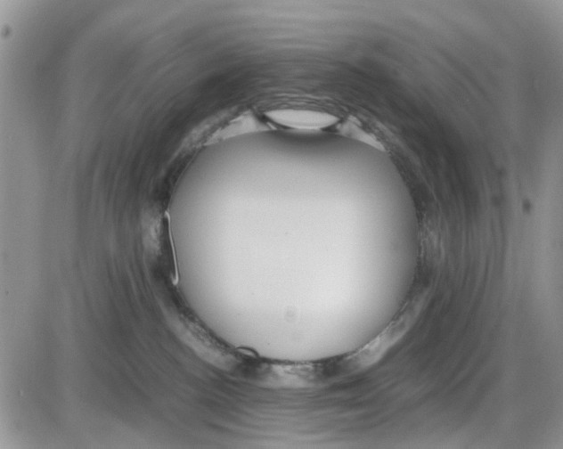 X0000086040188200704202020