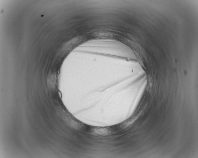 X0000086040189200704202020