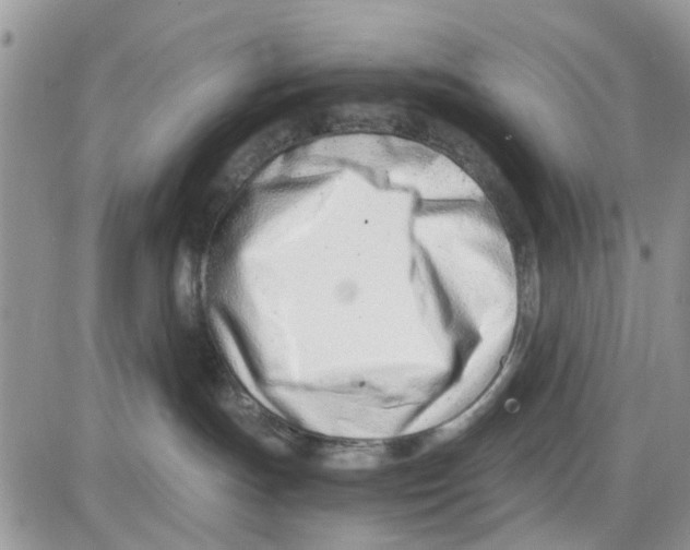 X0000086040191200704202020