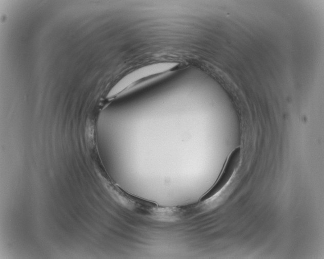 X0000086040192200704202020