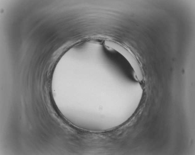 X0000086040193200704202019