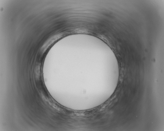 X0000086040194200704202019