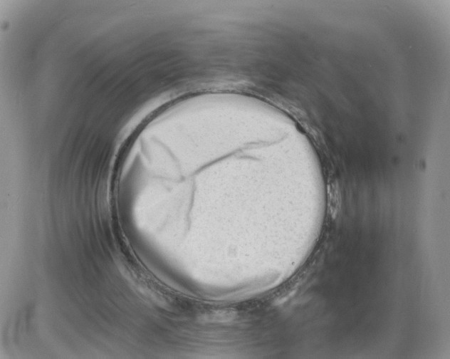 X0000086040196200704202019