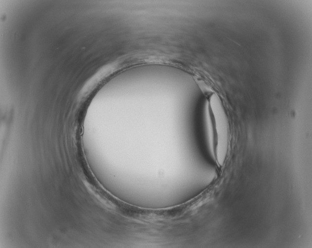 X0000086040197200704202019