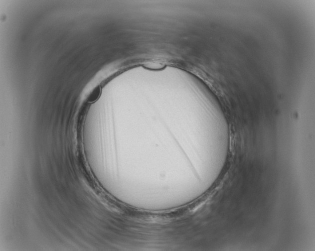 X0000086040198200704202019