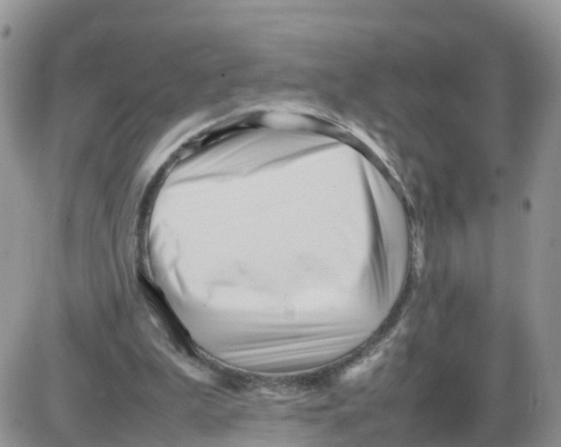 X0000086040199200704202019