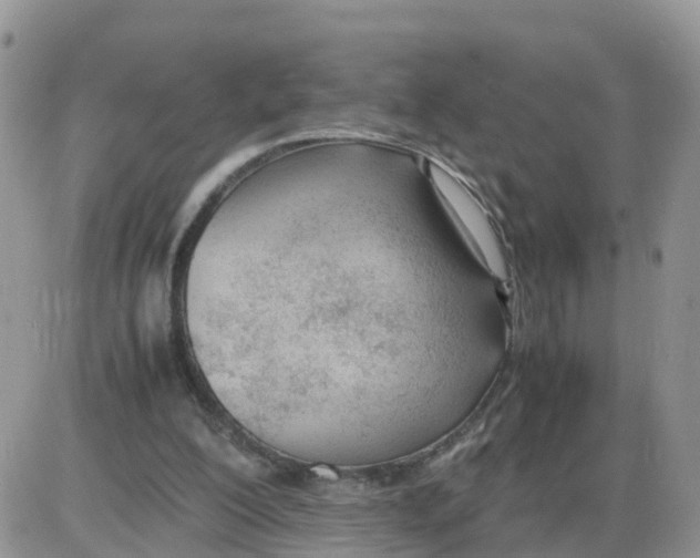 X0000086040200200704202019