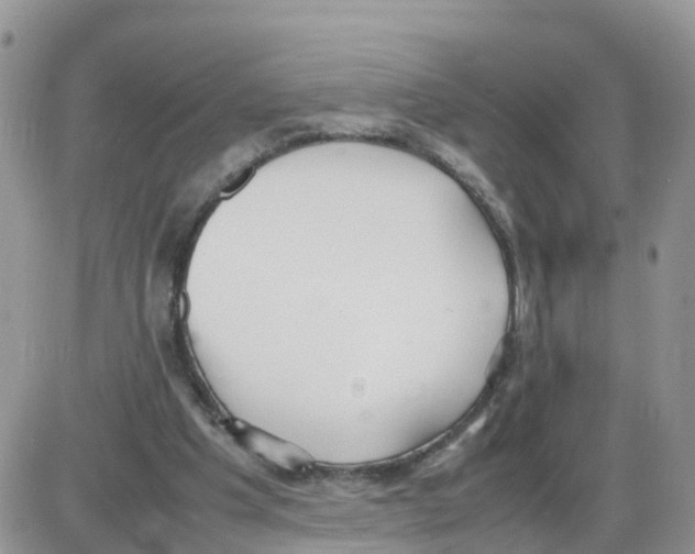 X0000086040201200704202019