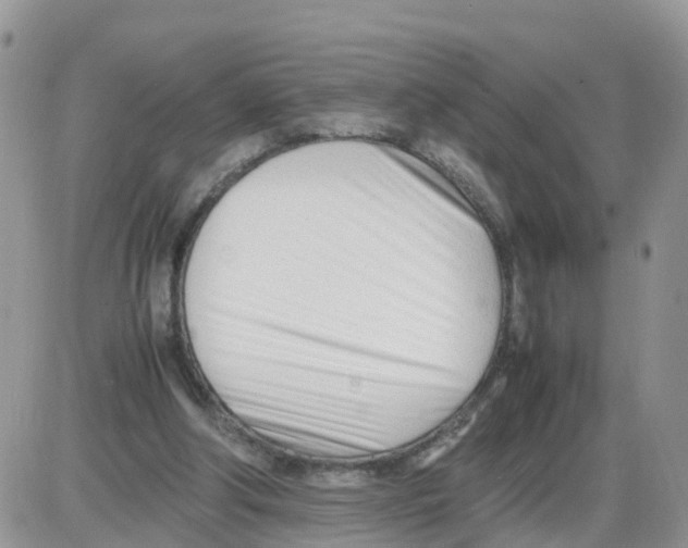 X0000086040202200704202019