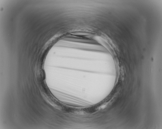 X0000086040203200704202019