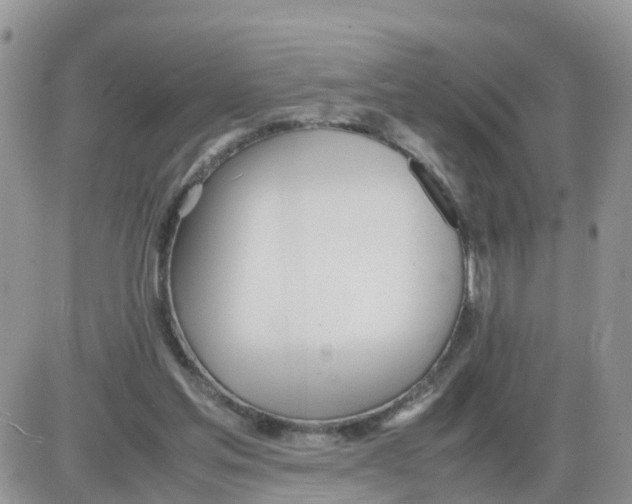 X0000086040205200704202019