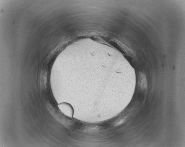 X0000086040206200704202019