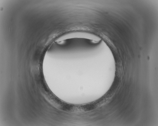 X0000086040207200704202019