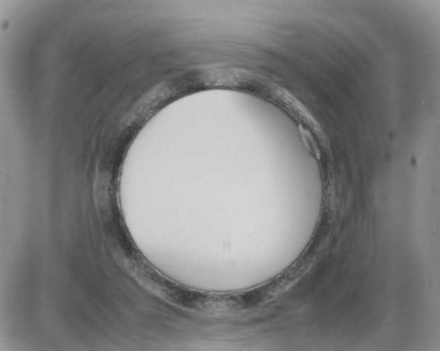 X0000086040209200704202019