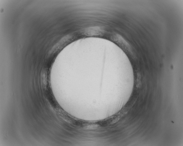 X0000086040210200704202019