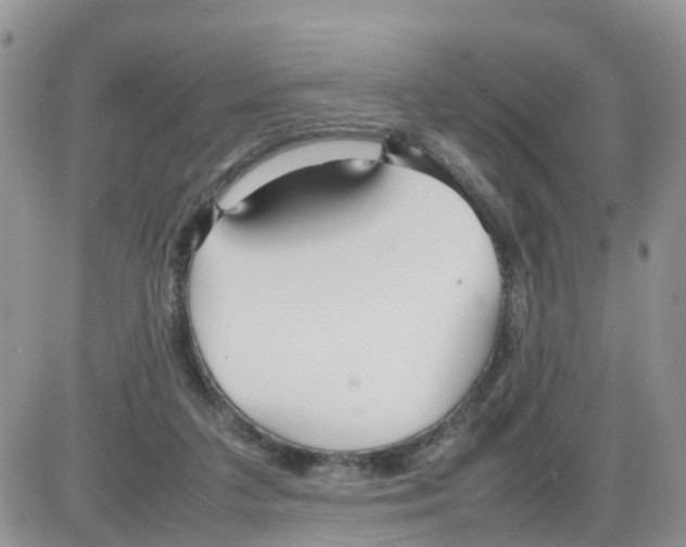 X0000086040211200704202019