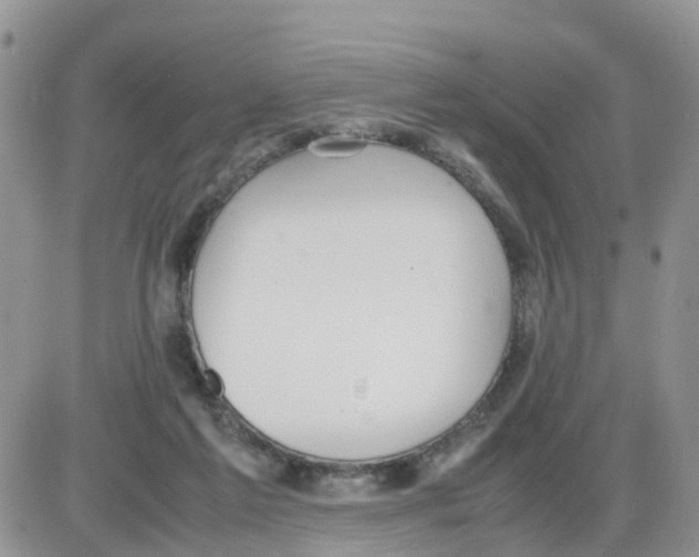 X0000086040213200704202019