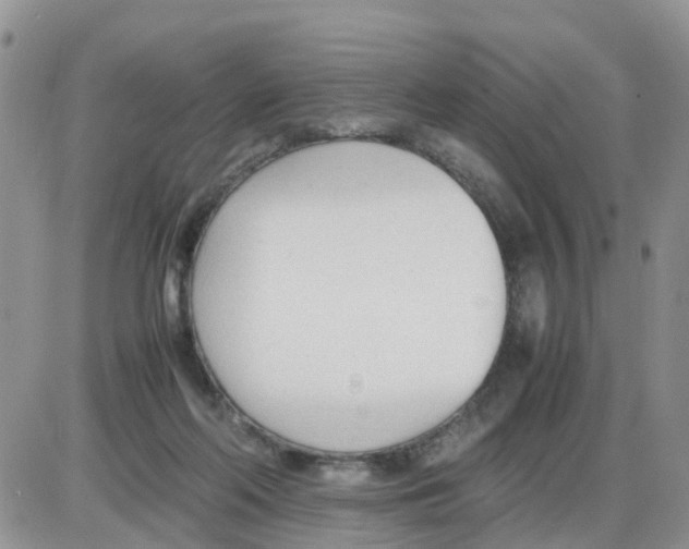 X0000086040214200704202019