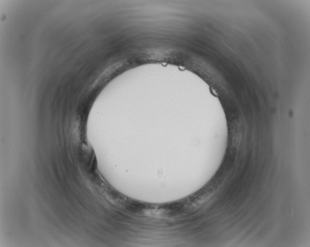 X0000086040216200704202019